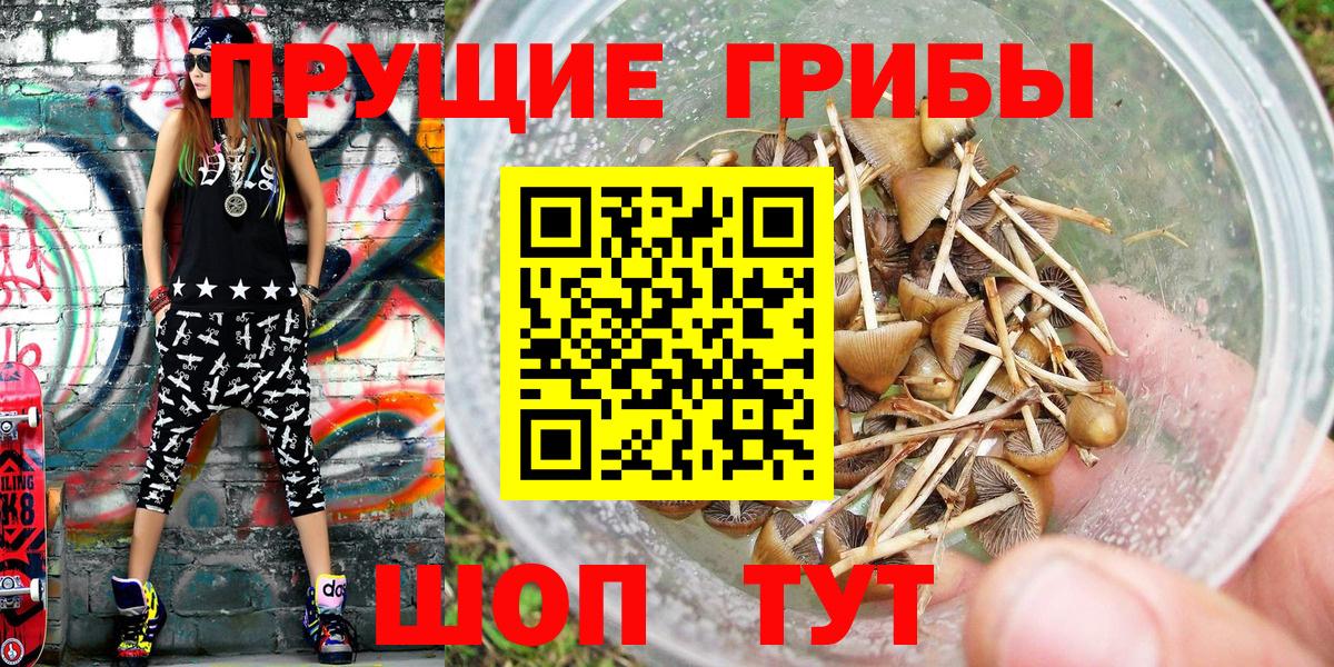 Псилоцибиновые грибы прущие грибы  Галлюциногенные грибы Psilocybe  Вход с VPN  Мурино 