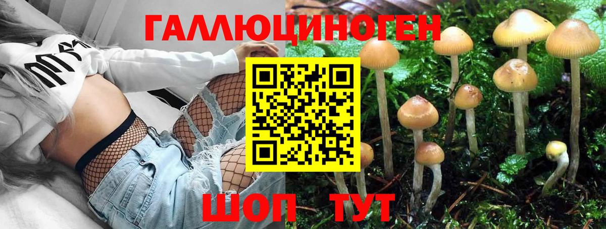 Галлюциногенные грибы Magic Shrooms Мурино