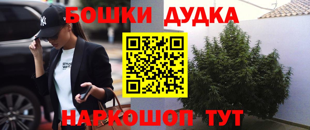 Каннабис OG Kush Мурино